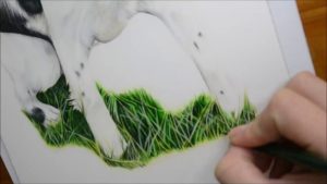Stunning Drawing Grass With Colored Pencil Step by Step How To Draw Grass Using Colour Pencil - Time Lapse Images