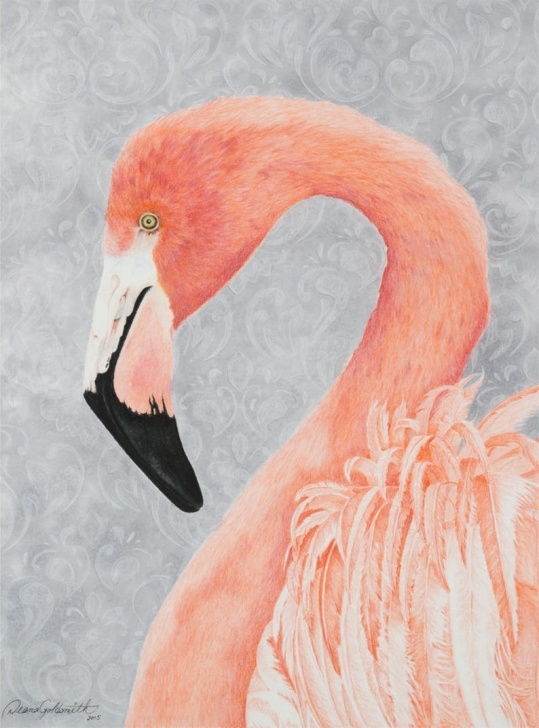 Stunning Flamingo Pencil Drawing Tutorials Flamingo/fine Art Limited Edition Print/colored Pencil Drawing/signed Print/wall Decor/bird Illustrations/wall Art/animal Prints/nature/bird Photo