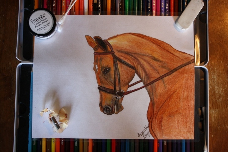 Stunning Horse Drawing Colored Pencil Easy Sorrel Horse Oil Based Colored Pencil Drawing | Art From The Heart Pics