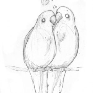 Love Birds Sketch