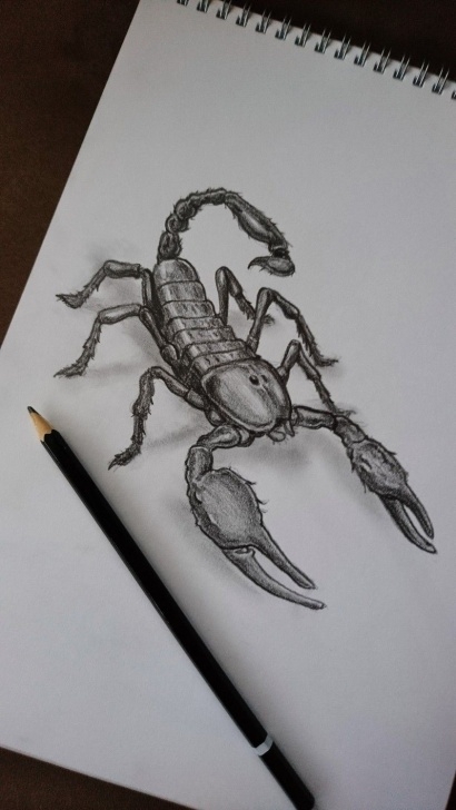Stunning Scorpion Pencil Drawing Step by Step Pencil Drawing Of Scorpion | Children's Book Illustrations Picture