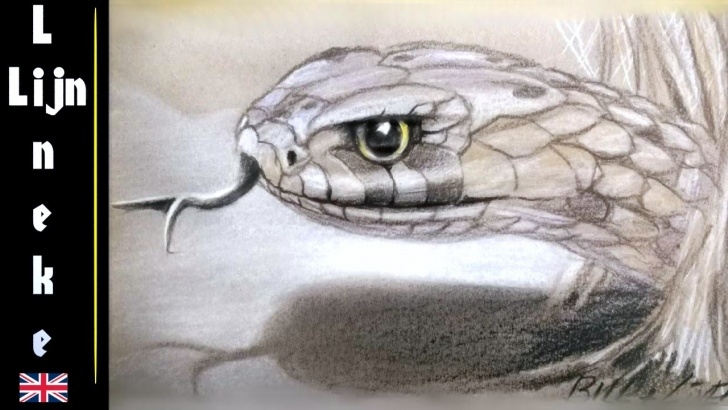 Stunning Snake Drawings In Pencil Free Realistic Snake Drawing In Pastel Pencil - Featuring The Snake Artist Pic