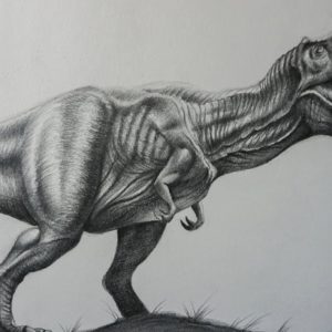 T Rex Pencil Drawing
