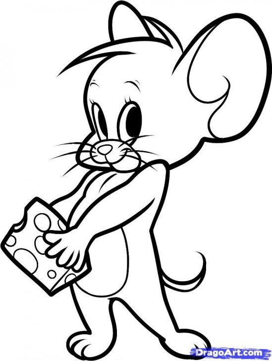 Stunning Tom And Jerry Pencil Sketch Step by Step Images+Of+Cartoon+Mice | How To Draw Jerry The Mouse From Tom And Photo