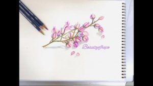Stunning Watercolor Pencil Flowers Ideas Flowers With Watercolor Pencils Pics