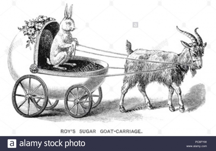 The Best Bullock Cart Pencil Drawing Techniques for Beginners Cart Drawing Stock Photos & Cart Drawing Stock Images - Alamy Photos