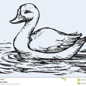 Duck Pencil Sketch