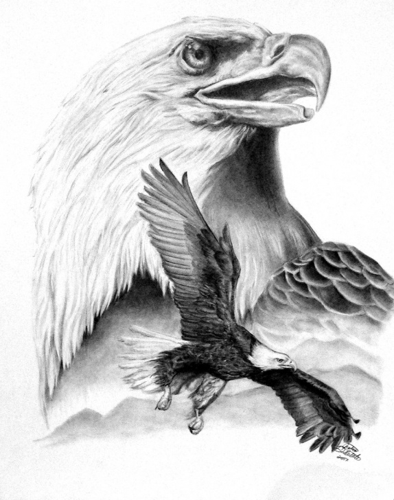 The Best Eagle Pencil Art Techniques for Beginners Bald Eagle Pencil Sketch At Paintingvalley | Explore Collection Image