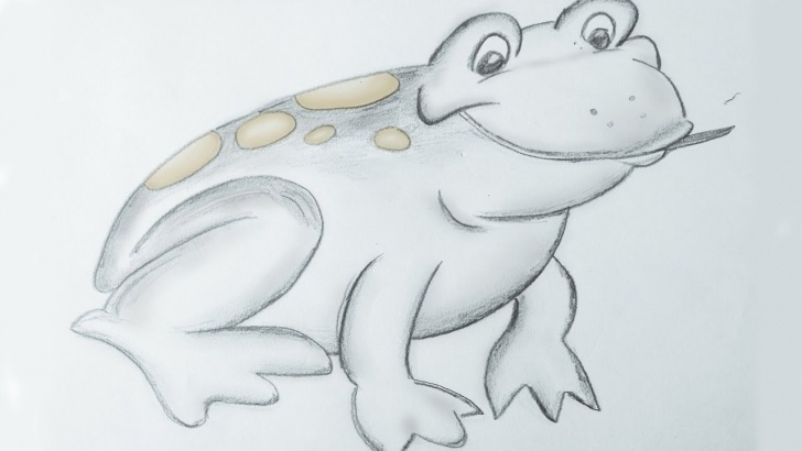 The Best Frog Pencil Sketch Tutorial Frog Pencil Sketch | How To Draw In Easy Steps For Children, Kids, Beginners Images