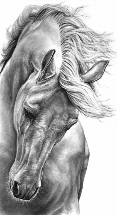 The Best Hard Pencil Sketch Ideas Hard To Track This Artist Down. Possibly By Artist Heidi Kriel Of Pics