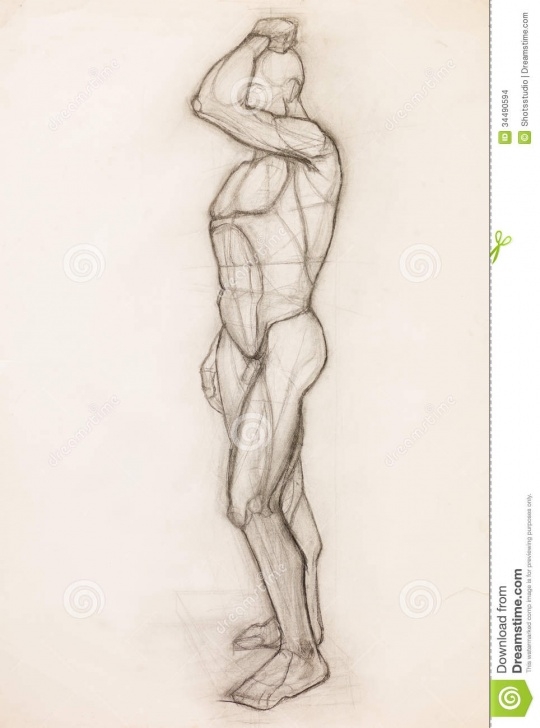 The Best Pencil Sketch Human Figure Step by Step Human Body Anatomy Study Stock Illustration. Illustration Of Anatomy Photo