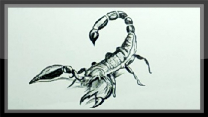 The Best Scorpion Pencil Drawing Free Easy Pencil Drawing A Scorpion Step By Step Photos