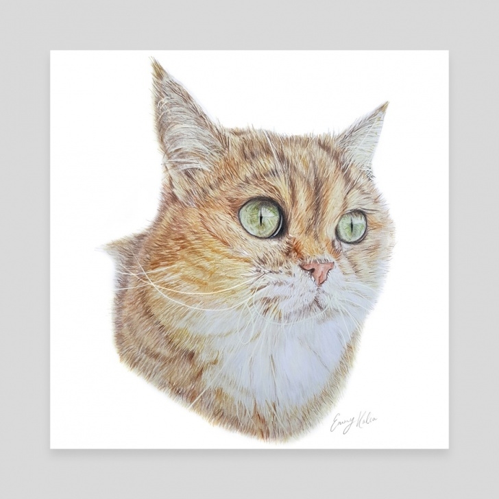 The Complete Cat Pencil Art Tutorial Cat Pencil Drawing, An Art Canvas By Emmy Kalia Image