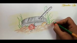 The Complete Color Pencil Art For Beginners Step by Step Color Pencil Drawing For Beginners- Learn How To Draw Ladybird With Colored Pencils Pic