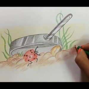 Color Pencil Art For Beginners