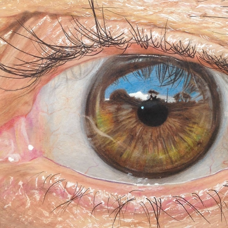 The Complete Colored Pencil Eye Drawing Step by Step Hyperrealistic Eyes Drawn With Colored Pencils | Colossal Pictures