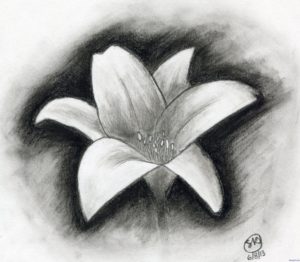 The Complete Easy Charcoal Drawings Ideas Easy Charcoal Drawings Flowers | Shading In 2019 | Easy Charcoal Pic