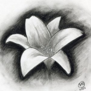 Easy Charcoal Drawings
