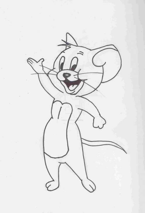 The Complete Tom And Jerry Pencil Sketch Tutorials Pencil Drawings Of Tom And Jerry And Jerry Sketches By Pencils Pic
