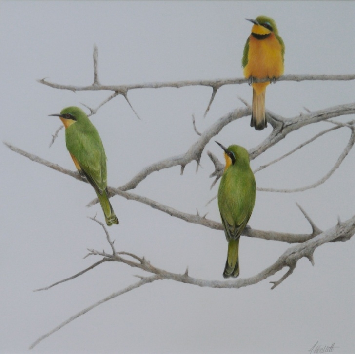 The Most Famous Alan Woollett Art Ideas Alan Woollett - Little Bee Eaters, Tanzania - Coloured Pencil Pics