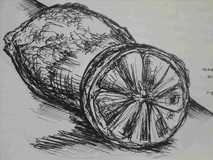 The Most Famous Best Pencil Sketches Of All Time Techniques for Beginners Best Pencil Sketches Of All Time Images