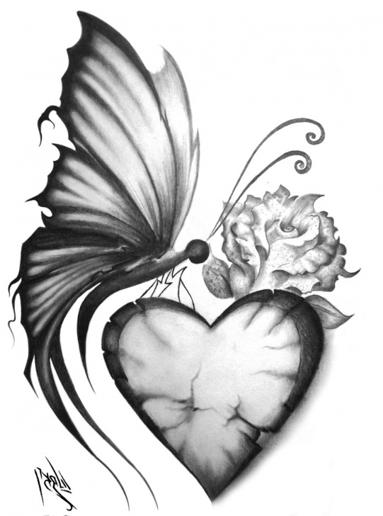 The Most Famous Butterfly Pencil Art for Beginners Butterfly Pencil Sketch At Paintingvalley | Explore Collection Pic