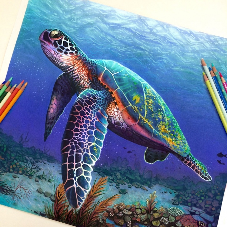 The Most Famous Colored Pencil Animals Step by Step 22-Year-Old Artist Creates Hyper-Realistic Pencil Drawings Bursting Images