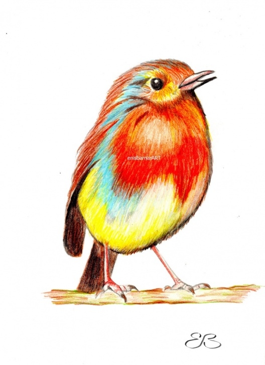 The Most Famous Cute Colored Pencil Drawings Techniques Bird, Small Bird, Fat Cute Bird, Color Pencil Drawing, Painting,wall Hanging , Cute Birdie Images