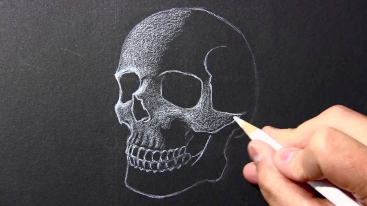 The Most Famous Easy Drawing On Black Paper With White Pencil Ideas Drawing Time Lapse: Skull [White Pencil/black Paper] Picture