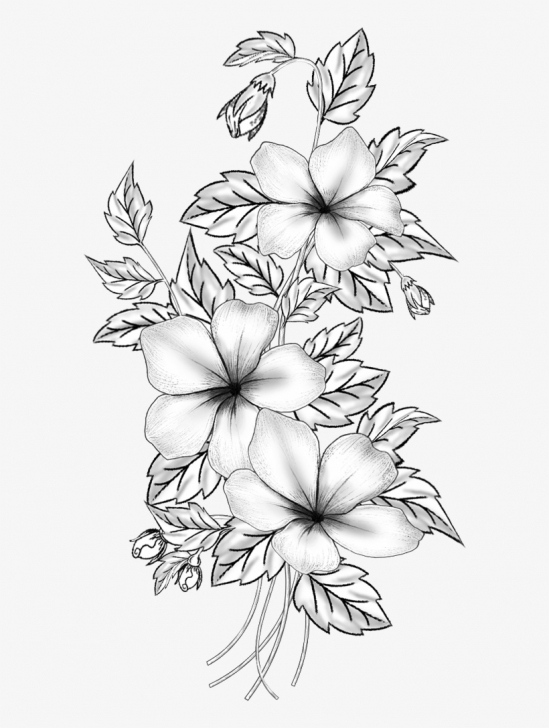 The Most Famous Floral Pencil Drawings Simple Floral Design Cut Flowers Drawing Branch /m/02Csf - Flower Pencil Pic