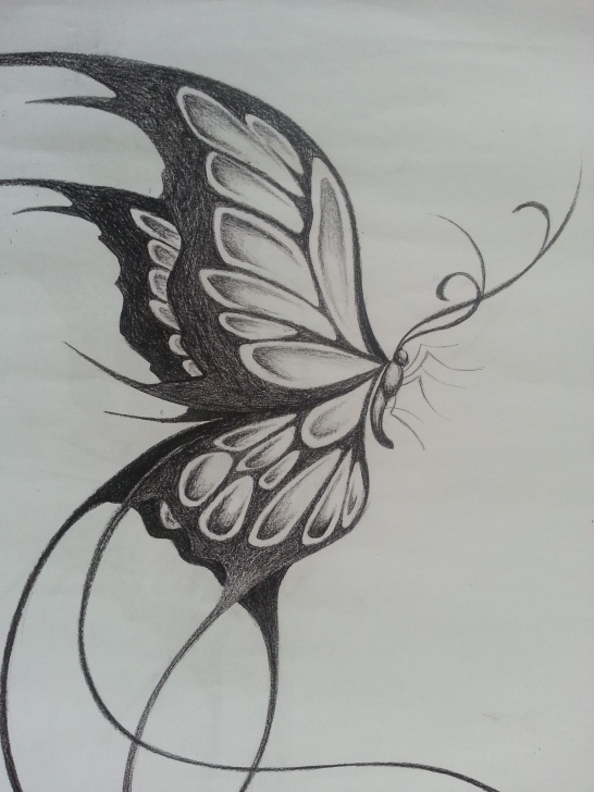 Top Butterfly Pencil Art Lessons Original Design Of A Large Butterfly | Things I Like :) In 2019 Picture