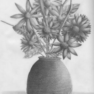 Flower Vase Pencil Drawing