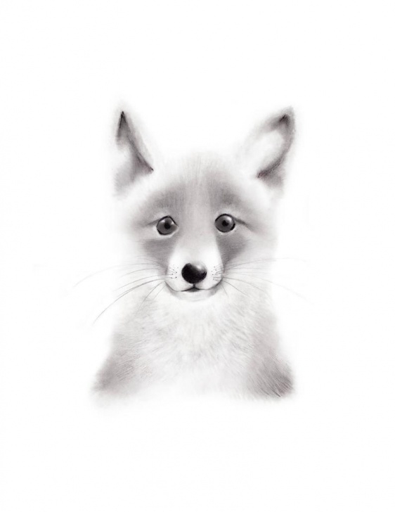 Top Fox Pencil Sketch Techniques for Beginners Fox Nursery Art, Pencil Drawing, Baby Animal Face, Woodland Print, Fox Drawing, Fox Sketch Portrait, Gender Neutral Baby, Forest Artwork Pictures