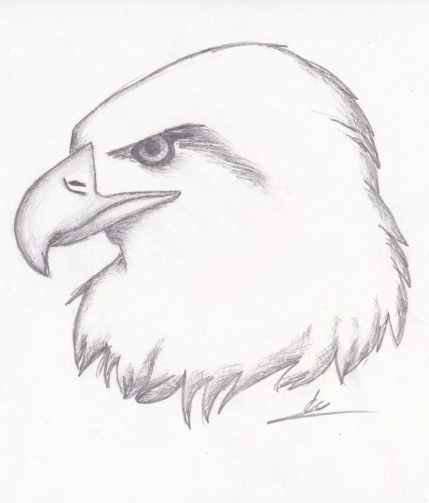 Top Pencil Drawings Of Animals Easy Simple Easy Drawings | Drawing And Sketching Tips In 2019 | Pencil Drawings Pictures