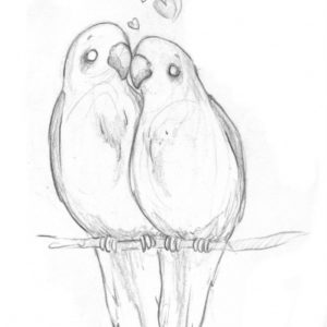 Pencil Drawings Of Birds And Animals