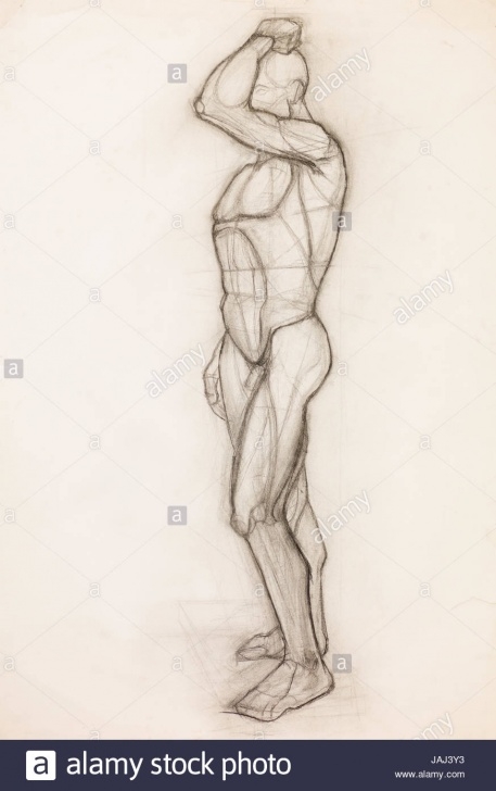 Top Pencil Sketch Human Figure Free Human Body Muscles Pencil Drawing Stock Photos & Human Body Muscles Photos
