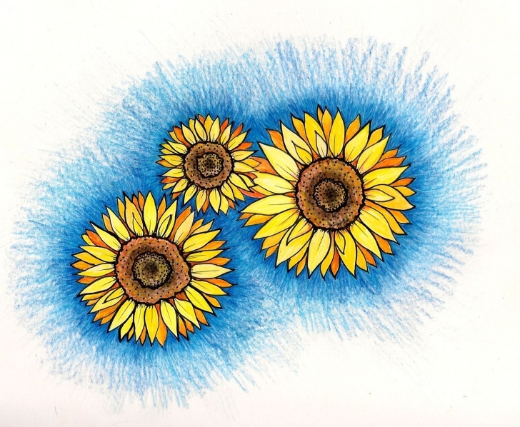 Top Sunflower Colored Pencil Courses Sunflowers Colored Pencil, Original Drawing | Original Art Pic