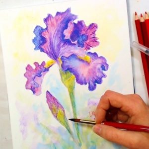 Watercolor Pencil Drawing Step By Step