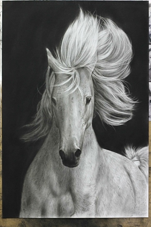 Top White Charcoal Drawings Tutorial Realistic Charcoal Drawing Of A White Horse :) — Steemit Pics