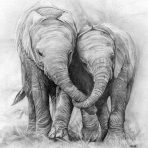 Elephant Pencil Art