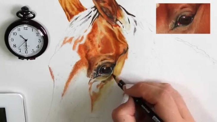 Wonderful Horse Drawing Colored Pencil Step by Step How To Draw A Realistic Horse's Eye In Colored Pencils | Drawing Pictures