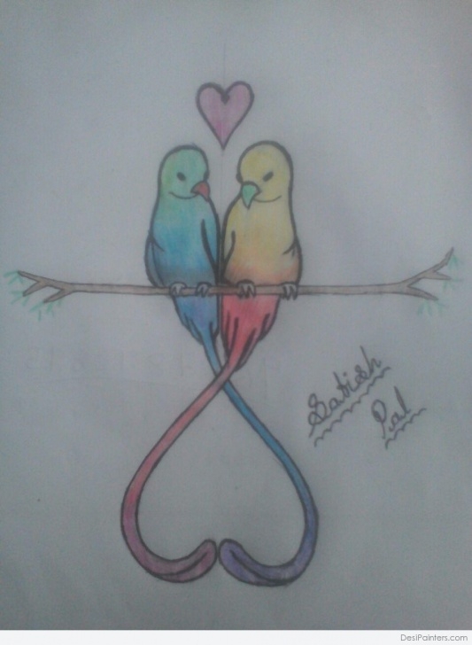 Wonderful Love Birds Sketch Courses Pencil Color Sketch Of Love Bird | Desipainters Pics