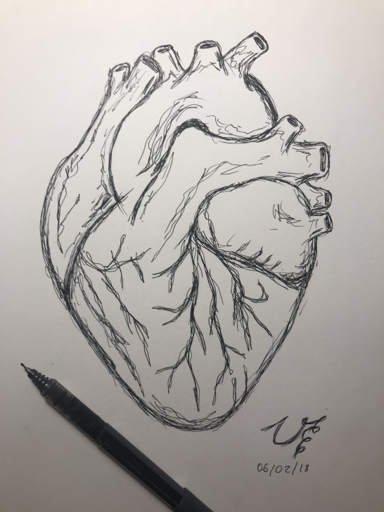 Wonderful Pencil Sketch Of Human Heart Techniques Human Heart Drawing #easydrawing | Heart Art Drawing In 2019 Pic