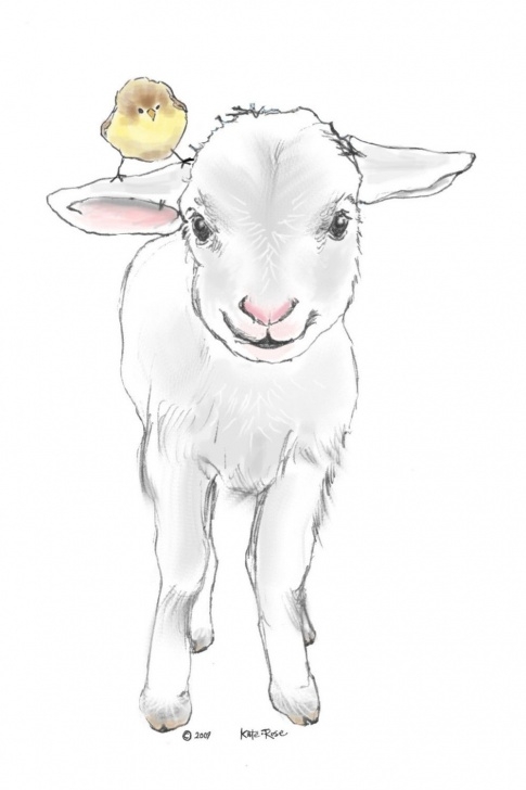Wonderful Sheep Pencil Drawing Ideas Sheep Realistic Drawing Step By Step - Google Search | Sheep And All Images