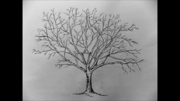 Wonderful Tree Pencil Sketch Easy How To Draw A Tree With Pencil Step By Step Images